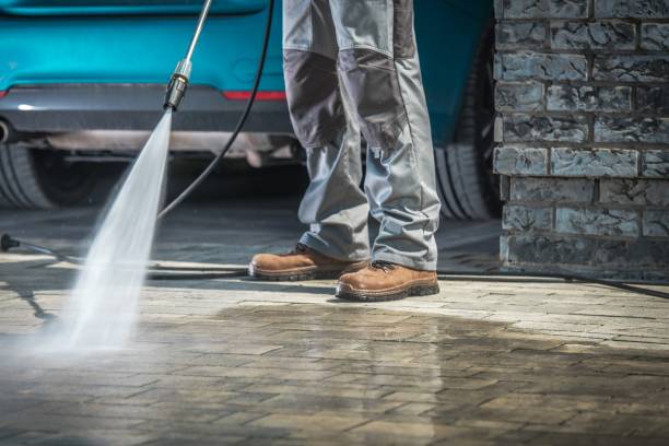 Best Pre-Holiday Cleaning  in Carterville, MO